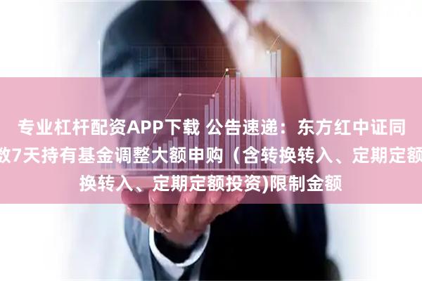 专业杠杆配资APP下载 公告速递：东方红中证同业存单AAA指数7天持有基金调整大额申购（含转换转入、定期定额投资)限制金额
