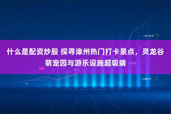 什么是配资炒股 探寻漳州热门打卡景点，灵龙谷萌宠园与游乐设施超吸睛
