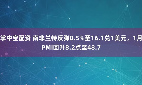 掌中宝配资 南非兰特反弹0.5%至16.1兑1美元，1月PMI回升8.2点至48.7