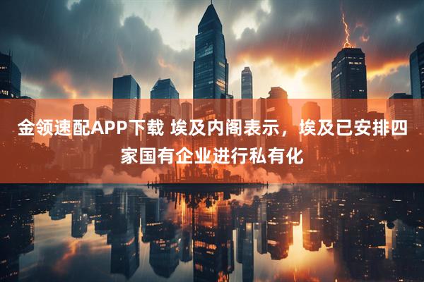 金领速配APP下载 埃及内阁表示，埃及已安排四家国有企业进行私有化